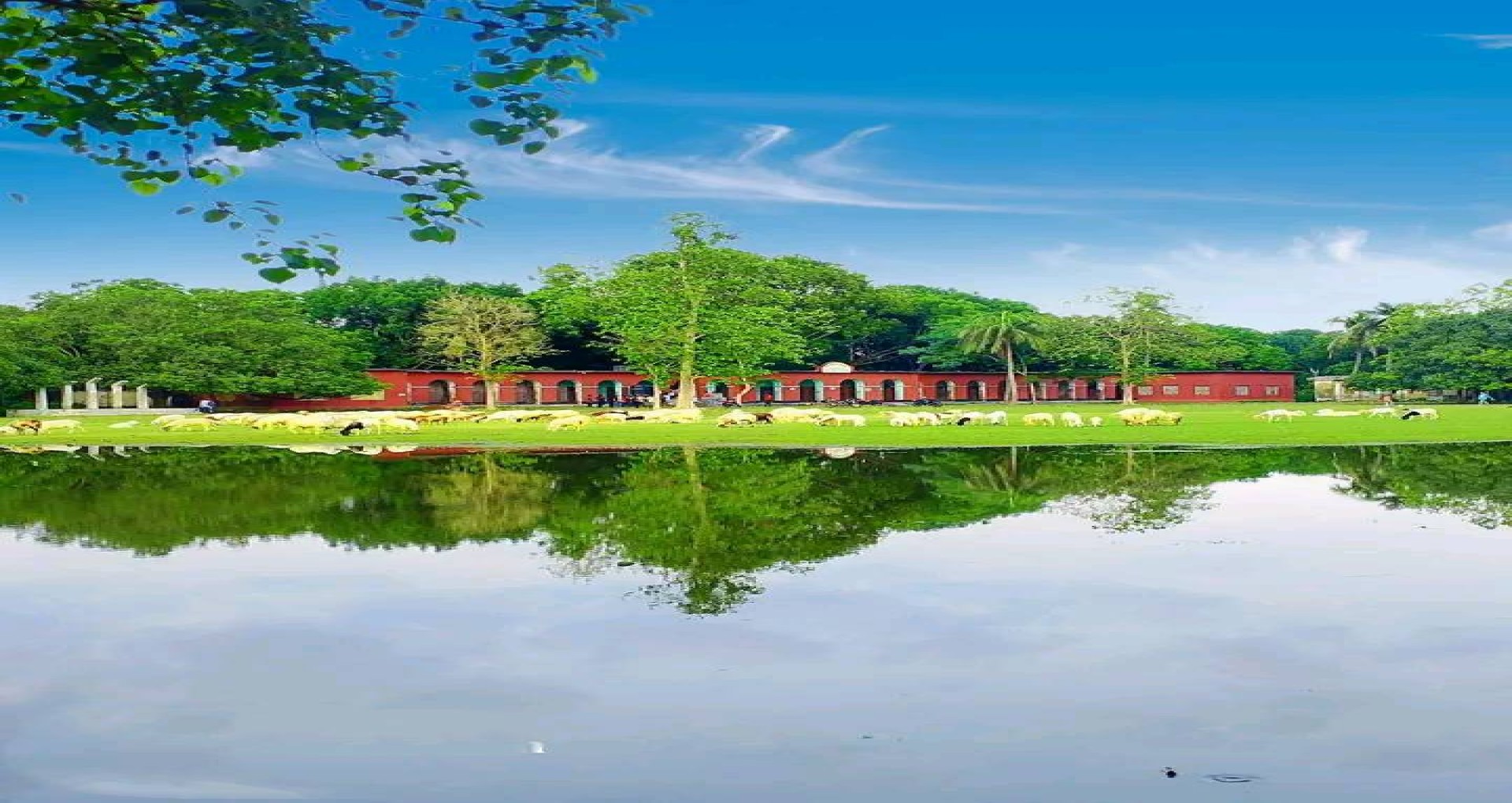 এক নজরে
